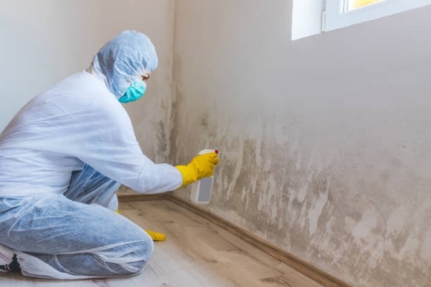 Licensed Crawl Space Mold Removal service in Vandalia, MI - WQB Mold Removal