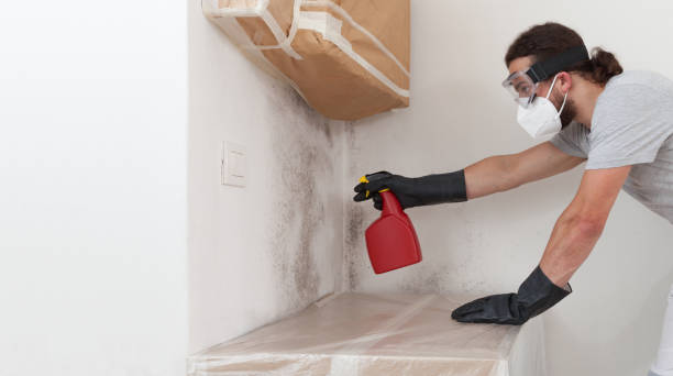 Professional Crawl Space Mold Removal technician working in Vandalia, MI