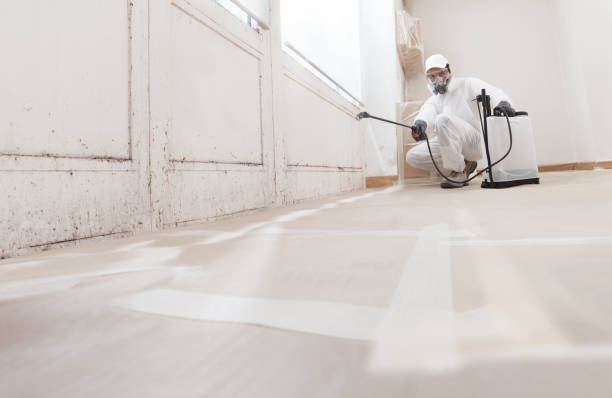 24/7 Emergency Crawl Space Mold Removal experts in Vandalia, MI