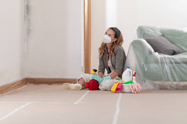 Reliable Crawl Space Mold Removal contractor in Vandalia, MI by WQB Mold Removal
