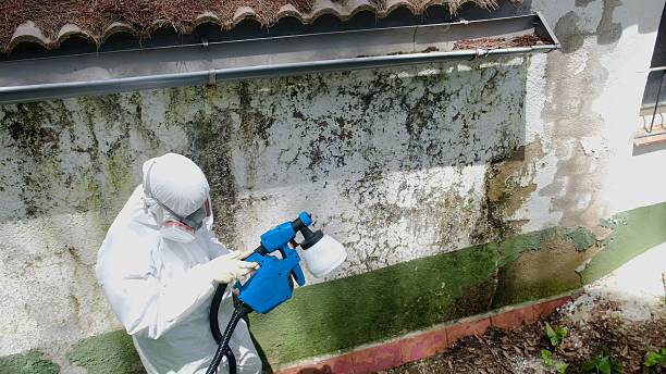 Top rated local Crawl Space Mold Removal specialists in Vandalia, MI